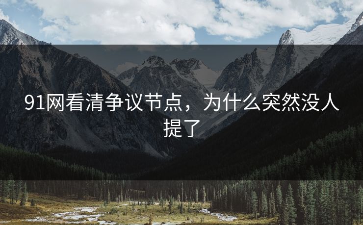 91网看清争议节点，为什么突然没人提了