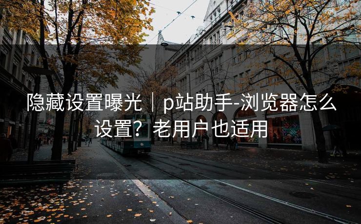 隐藏设置曝光｜p站助手-浏览器怎么设置？老用户也适用
