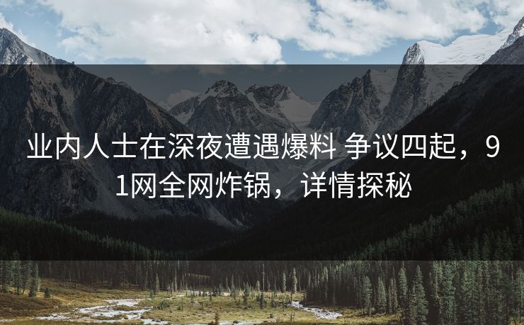 业内人士在深夜遭遇爆料 争议四起，91网全网炸锅，详情探秘